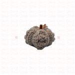 Pumpkin · Small - Image 2
