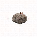 Pumpkin · Small - Image 3