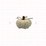 Pumpkin · Xtra Small - Image 6