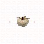 Pumpkin · Xtra Small - Image 5