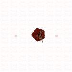 Pumpkin · Xtra Small - Image 3