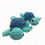 Turtle · Medium
